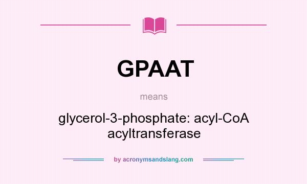 What does GPAAT mean? It stands for glycerol-3-phosphate: acyl-CoA acyltransferase