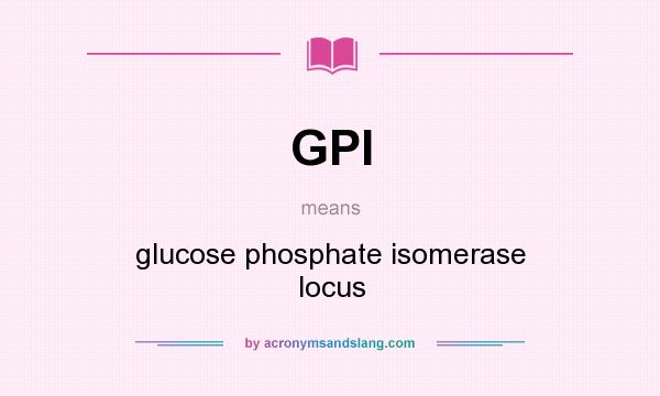 What does GPI mean? It stands for glucose phosphate isomerase locus