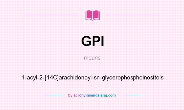 What does GPI mean? It stands for 1-acyl-2-[14C]arachidonoyl-sn-glycerophosphoinositols