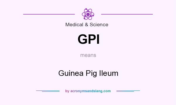 What does GPI mean? It stands for Guinea Pig Ileum