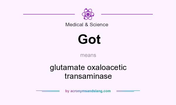 What does Got mean? It stands for glutamate oxaloacetic transaminase