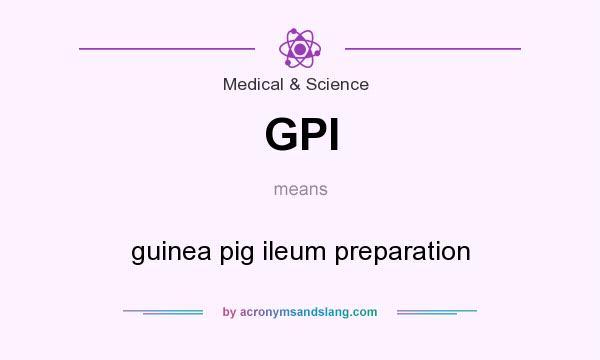 What does GPI mean? It stands for guinea pig ileum preparation