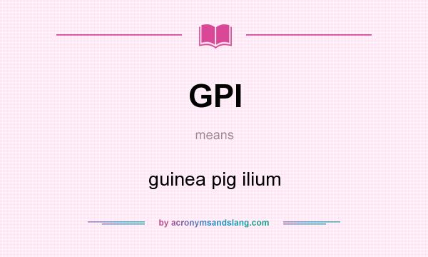 What does GPI mean? It stands for guinea pig ilium
