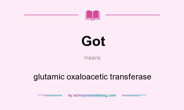 What does Got mean? It stands for glutamic oxaloacetic transferase