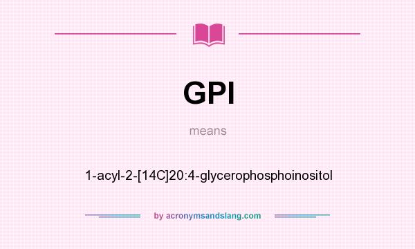 What does GPI mean? It stands for 1-acyl-2-[14C]20:4-glycerophosphoinositol