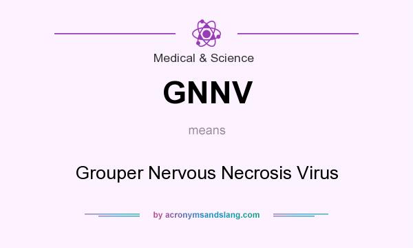 What does GNNV mean? It stands for Grouper Nervous Necrosis Virus