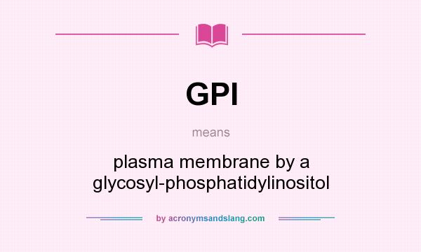 What does GPI mean? It stands for plasma membrane by a glycosyl-phosphatidylinositol