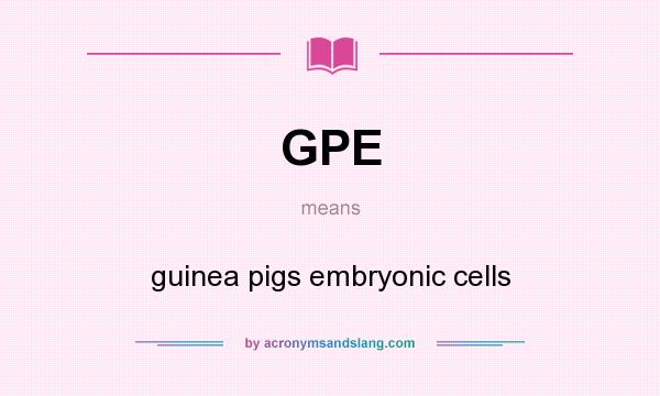 What does GPE mean? It stands for guinea pigs embryonic cells