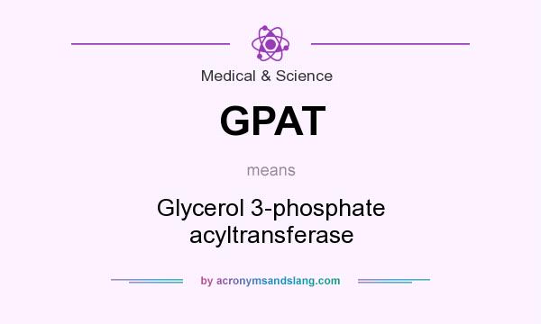 What does GPAT mean? It stands for Glycerol 3-phosphate acyltransferase