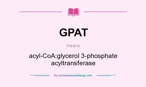 What does GPAT mean? It stands for acyl-CoA:glycerol 3-phosphate acyltransferase