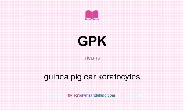 What does GPK mean? It stands for guinea pig ear keratocytes