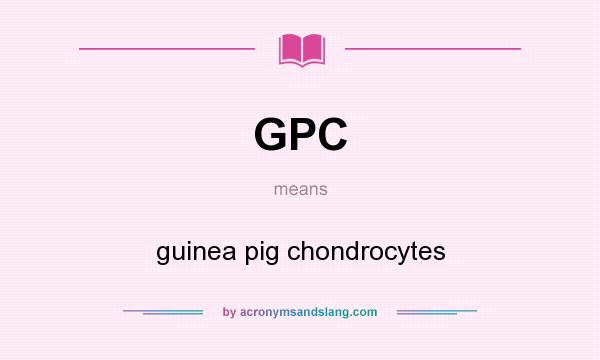 What does GPC mean? It stands for guinea pig chondrocytes