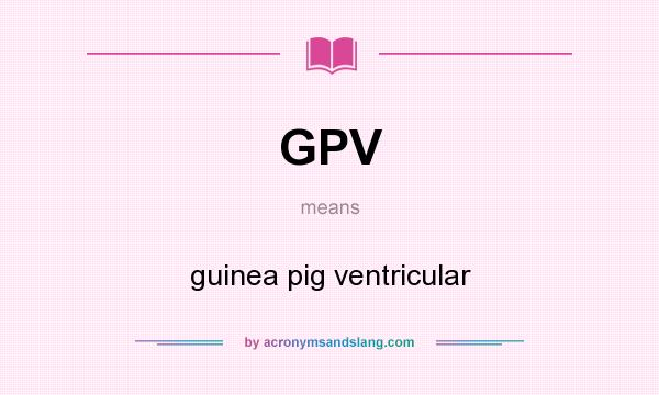 What does GPV mean? It stands for guinea pig ventricular