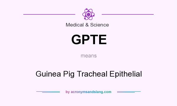 What does GPTE mean? It stands for Guinea Pig Tracheal Epithelial