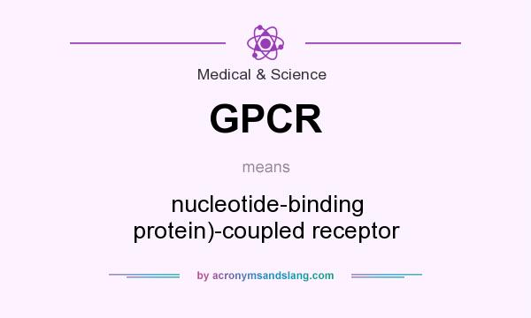 What does GPCR mean? It stands for nucleotide-binding protein)-coupled receptor