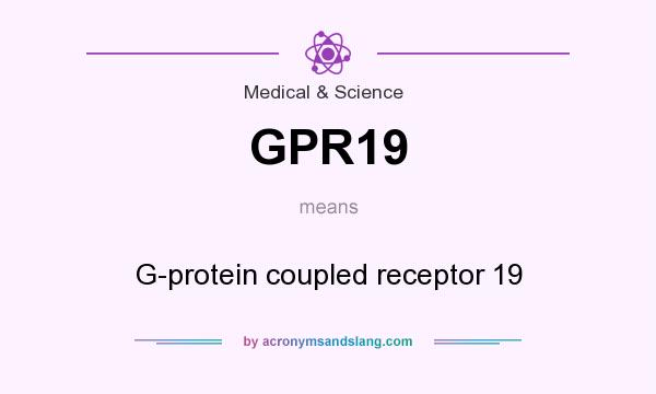 What does GPR19 mean? It stands for G-protein coupled receptor 19