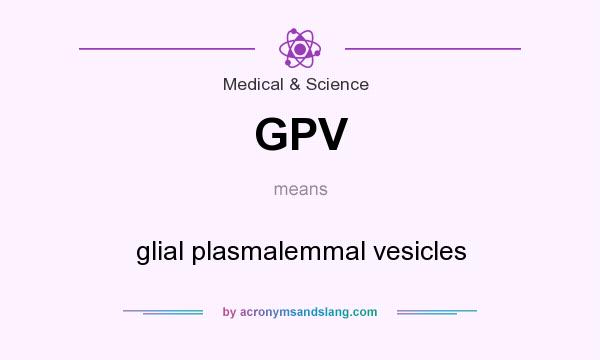 What does GPV mean? It stands for glial plasmalemmal vesicles