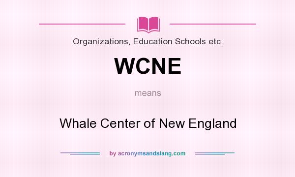 What does WCNE mean? It stands for Whale Center of New England
