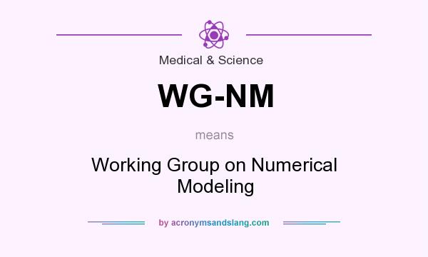 What does WG-NM mean? It stands for Working Group on Numerical Modeling