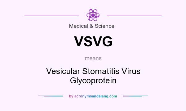 What does VSVG mean? It stands for Vesicular Stomatitis Virus Glycoprotein
