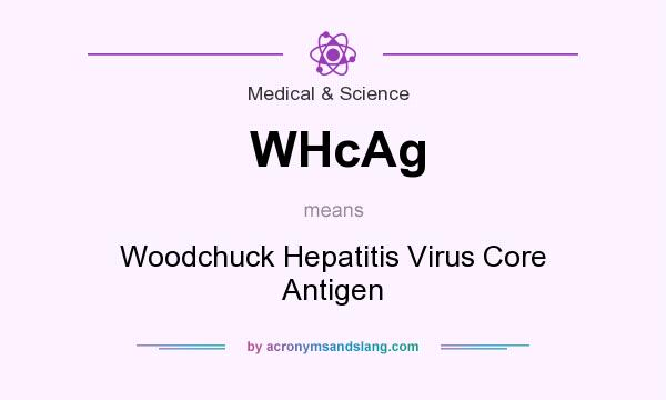 What does WHcAg mean? It stands for Woodchuck Hepatitis Virus Core Antigen