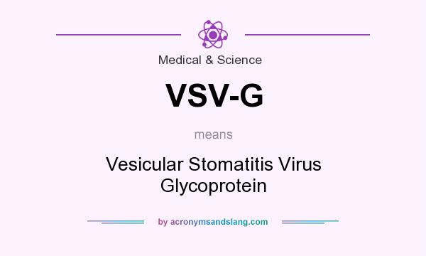 What does VSV-G mean? It stands for Vesicular Stomatitis Virus Glycoprotein