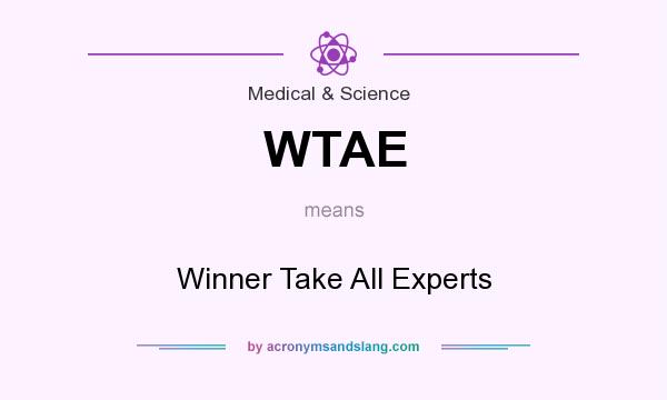 What does WTAE mean? It stands for Winner Take All Experts