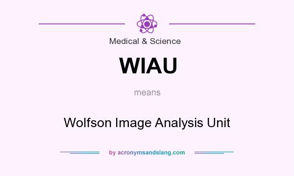 What does WIAU mean? It stands for Wolfson Image Analysis Unit