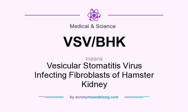 What does VSV/BHK mean? It stands for Vesicular Stomatitis Virus Infecting Fibroblasts of Hamster Kidney