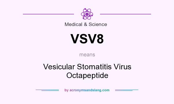 What does VSV8 mean? It stands for Vesicular Stomatitis Virus Octapeptide