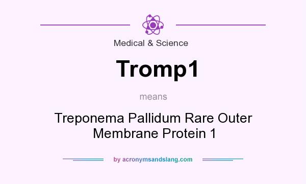 What does Tromp1 mean? It stands for Treponema Pallidum Rare Outer Membrane Protein 1