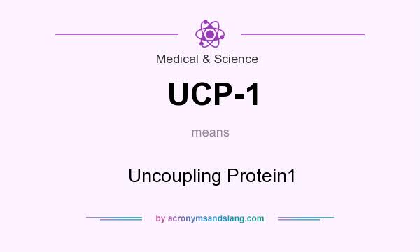 What does UCP-1 mean? It stands for Uncoupling Protein1