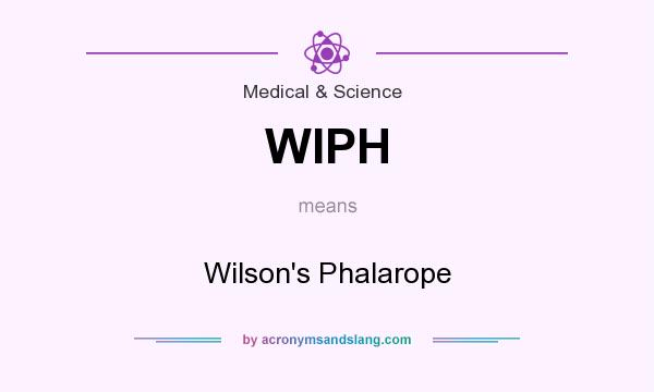 What does WIPH mean? It stands for Wilson`s Phalarope