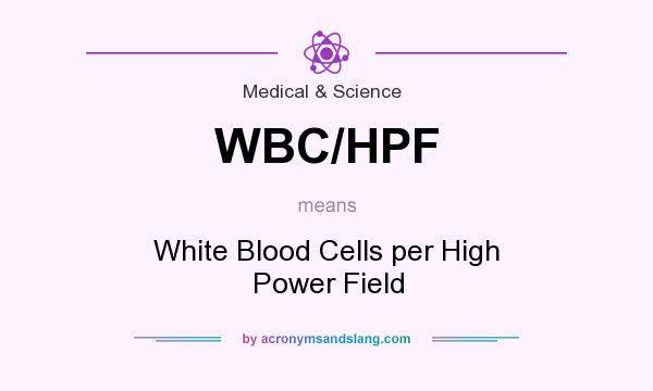 What does WBC/HPF mean? It stands for White Blood Cells per High Power Field