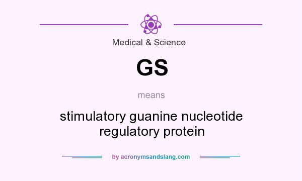 What does GS mean? It stands for stimulatory guanine nucleotide regulatory protein