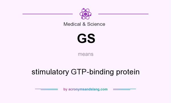 What does GS mean? It stands for stimulatory GTP-binding protein
