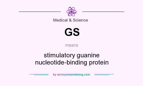 What does GS mean? It stands for stimulatory guanine nucleotide-binding protein