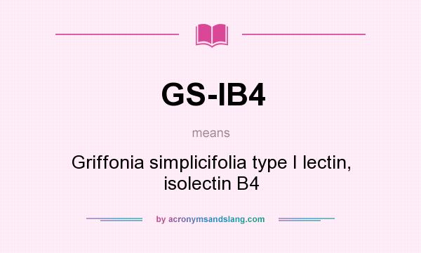 What does GS-IB4 mean? It stands for Griffonia simplicifolia type I lectin, isolectin B4