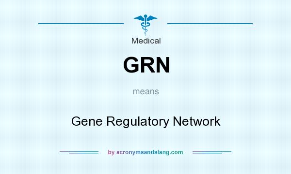 What does GRN mean? It stands for Gene Regulatory Network