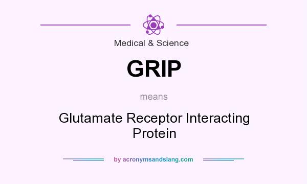 What does GRIP mean? It stands for Glutamate Receptor Interacting Protein