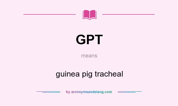 What does GPT mean? It stands for guinea pig tracheal