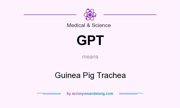 What does GPT mean? It stands for Guinea Pig Trachea