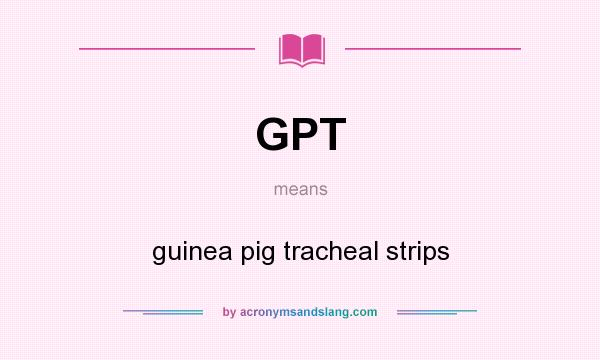 What does GPT mean? It stands for guinea pig tracheal strips