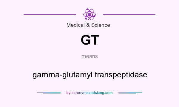 What does GT mean? It stands for gamma-glutamyl transpeptidase