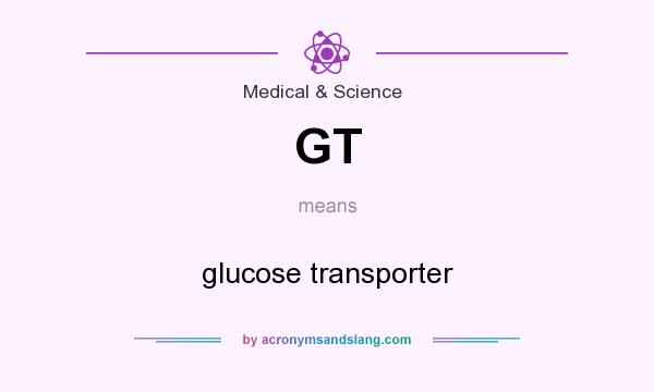 What does GT mean? It stands for glucose transporter