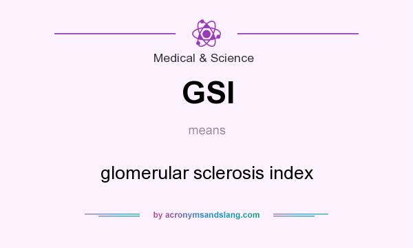 What does GSI mean? It stands for glomerular sclerosis index