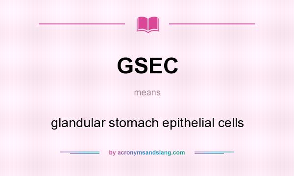 What does GSEC mean? It stands for glandular stomach epithelial cells