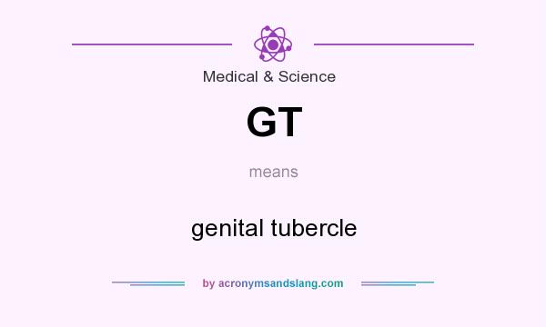 What does GT mean? It stands for genital tubercle