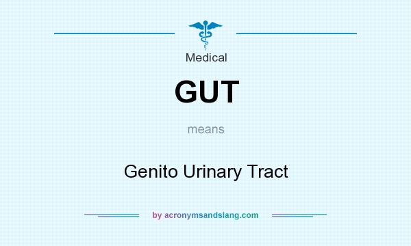 What does GUT mean? It stands for Genito Urinary Tract