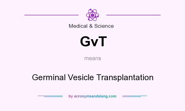 What does GvT mean? It stands for Germinal Vesicle Transplantation